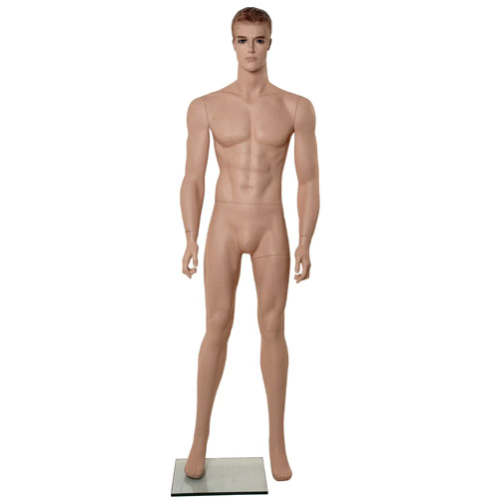 Flesh Tone Male Mannequin - Hands at Side, Head Facing Forwards 70218