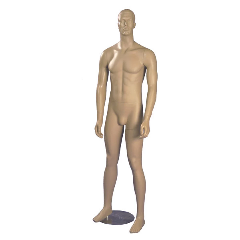 Flesh Tone Male Mannequin - Hands at Side, Head off Centre 70212
