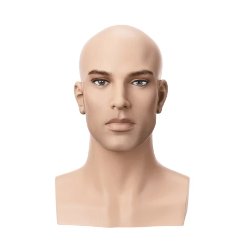 Male Mannequin Head 73337
