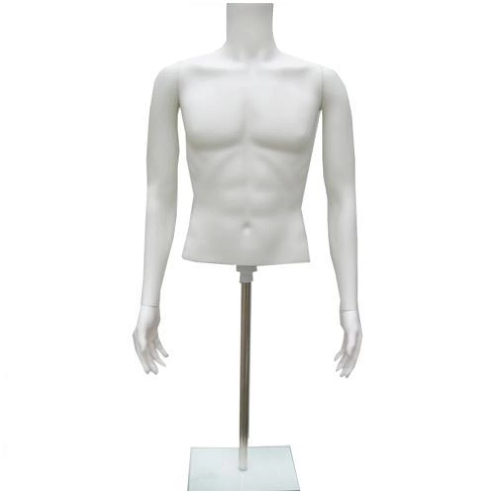 Male Plastic Half Bust With Glass Stand 77001