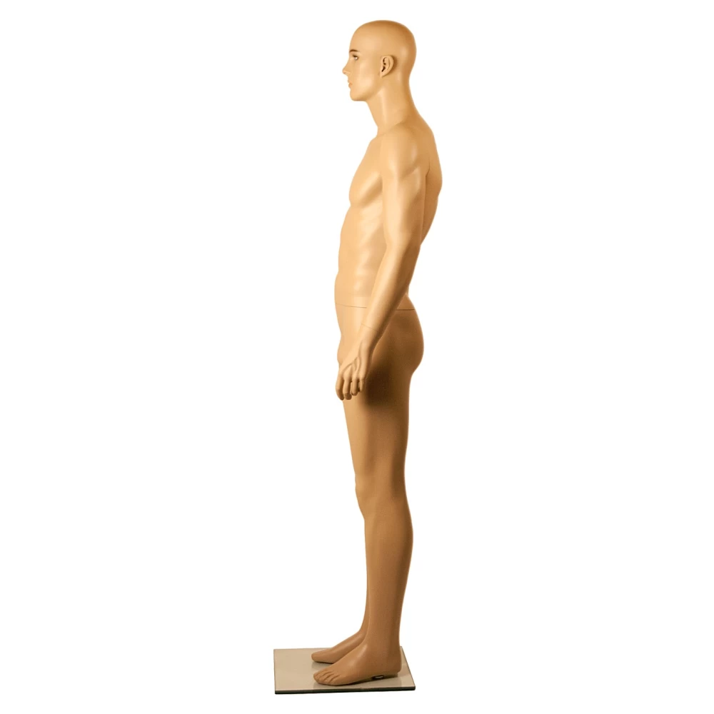 Side View of Male Mannequin