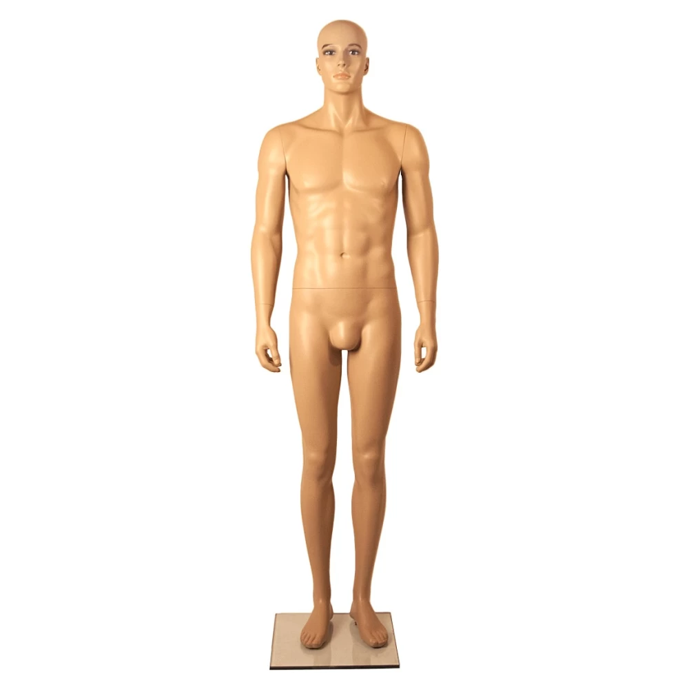 Realistic Male Mannequin - Upright Pose 70601