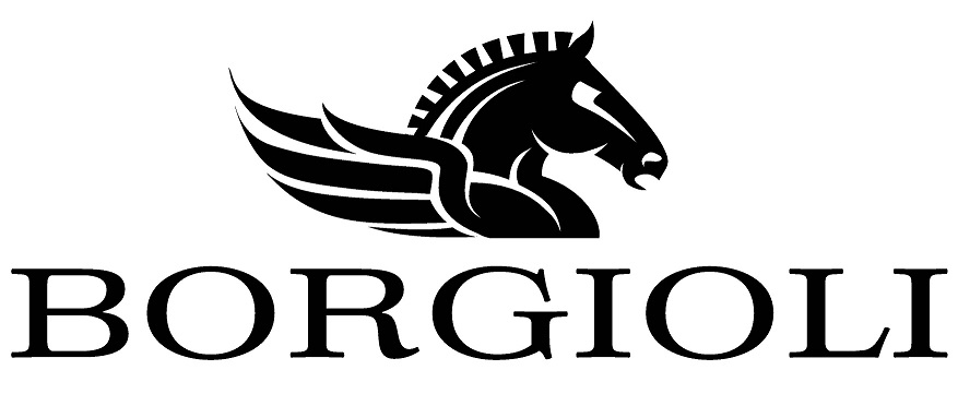 Borgioli Logo